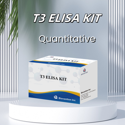 Kit uji Elisa yang sangat sensitif dan spesifik untuk deteksi kuantitatif T3 dalam serum manusia dengan waktu uji pendek