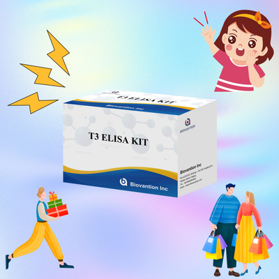 Kit uji Elisa yang sangat sensitif dan spesifik untuk deteksi kuantitatif T3 dalam serum manusia dengan waktu uji pendek
