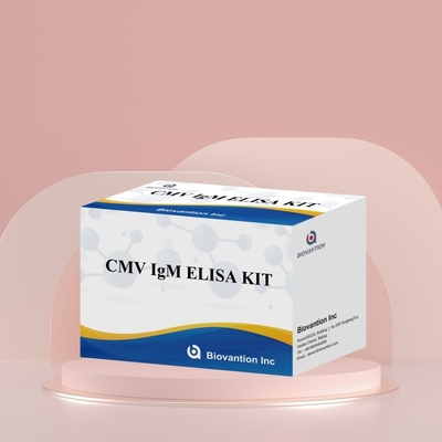 Biovantion High-Sensitivity CMV ELISA Reagent Kit untuk Deteksi Antibodi Sitomegalovirus   IgG/IgM Testing