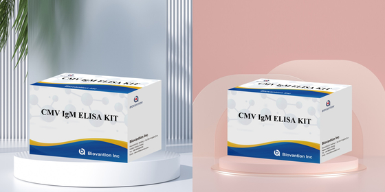Biovantion High-Sensitivity CMV ELISA Reagent Kit untuk Deteksi Antibodi Sitomegalovirus   IgG/IgM Testing