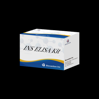 Insulin INS 96 Tes IVd Reagen yang Tepat untuk Diagnosis