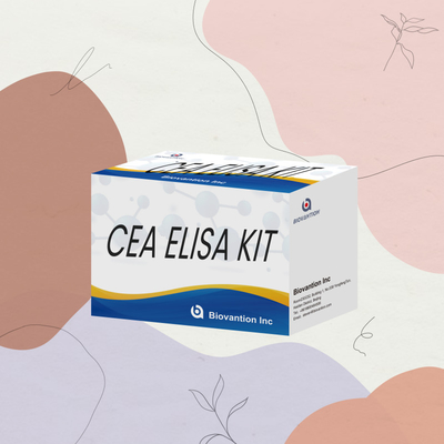 Kit Tes Elisa Kuantitatif CEA yang akurat untuk analisis kuantitatif dan kualitatif target