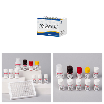 Kit Tes Elisa Kuantitatif CEA yang akurat untuk analisis kuantitatif dan kualitatif target