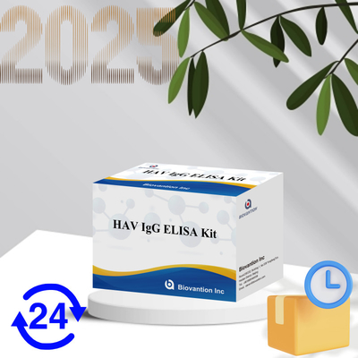 Sensitivitas Tinggi HAV IgG ELISA Kit Deteksi Virus Hepatitis A yang Akurat Dipercaya Sertifikasi CE Untuk Penggunaan Klinis Dan Penelitian
