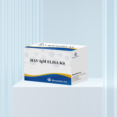 HAV IgM ELISA Kit Sensitivitas Tinggi Hepatitis A Deteksi Virus Tes Diagnostik yang Tepat dan Dapat Diandalkan Untuk Laboratorium Klinis