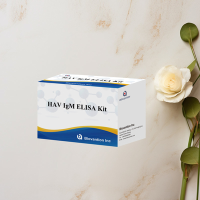 HAV IgM ELISA Kit Sensitivitas Tinggi Hepatitis A Deteksi Virus Tes Diagnostik yang Tepat dan Dapat Diandalkan Untuk Laboratorium Klinis