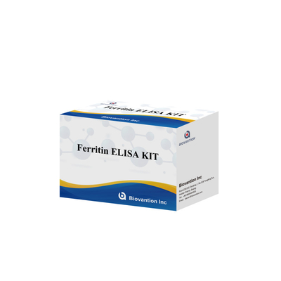 Biovantion Sensitivitas Tinggi Ferritin Elisa Test Kit Deteksi Kuantitatif untuk Diagnosis Klinis dan Penelitian Gunakan Sampel Plasma Serum Manusia