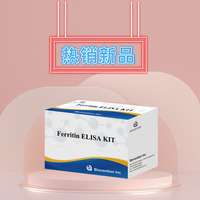 Biovantion Sensitivitas Tinggi Ferritin Elisa Test Kit Deteksi Kuantitatif untuk Diagnosis Klinis dan Penelitian Gunakan Sampel Plasma Serum Manusia