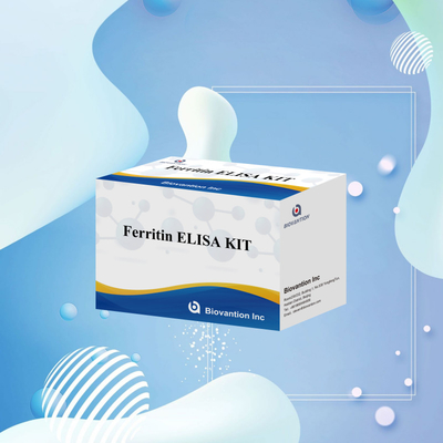 Biovantion Sensitivitas Tinggi Ferritin Elisa Test Kit Deteksi Kuantitatif untuk Diagnosis Klinis dan Penelitian Gunakan Sampel Plasma Serum Manusia