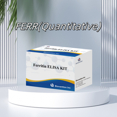 Biovantion Sensitivitas Tinggi Ferritin Elisa Test Kit Deteksi Kuantitatif untuk Diagnosis Klinis dan Penelitian Gunakan Sampel Plasma Serum Manusia