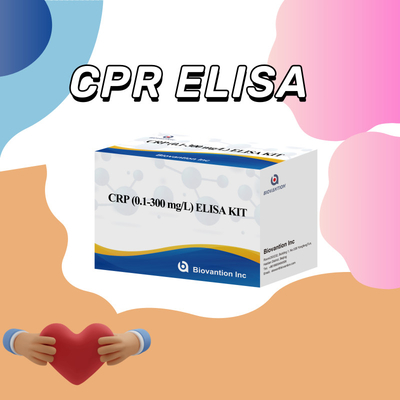 CRP akurat 0,1-300 Mg/L Elisa Test Kit Untuk Deteksi Sensitif Zat Biologis