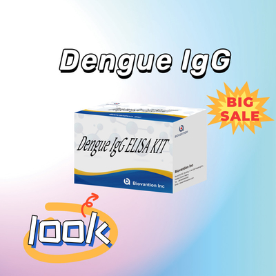 Kit Tes IgG Elisa Dengue Berkinerja Tinggi Untuk Hasil Sensitif dan Spesifik