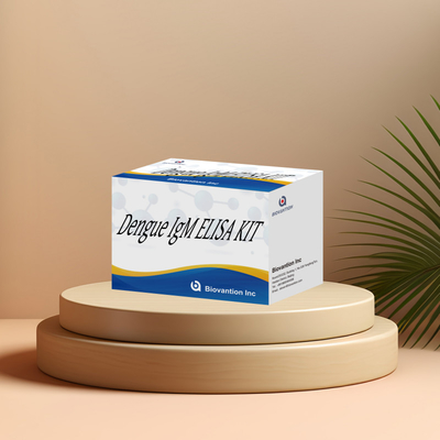 Kit Tes IgM Elisa yang Inovatif untuk Pemeriksaan dan Pemantauan Penyakit yang Tepat di Lingkungan Klinis