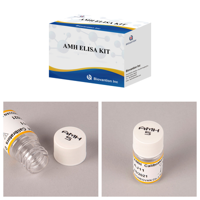 Kit Anti-Mullerian Hormone / AMH Elisa yang Sangat Sensitif untuk Deteksi Penyakit yang Tepat dan Cepat