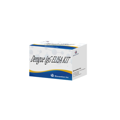 Reagen IVD Keakuratan Tinggi IgG ELISA Kit Untuk Deteksi Manusia Dengan Plasma Serum