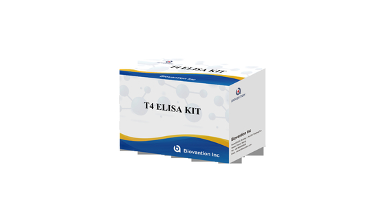 Kit Tes Elisa T4 yang Sangat Spesifik untuk Deteksi Bahan Sasaran yang Tepat