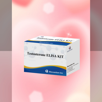 Kit Uji Testosteron Elisa Berkinerja Tinggi Untuk Kuantifikasi Biomarker yang Tepat