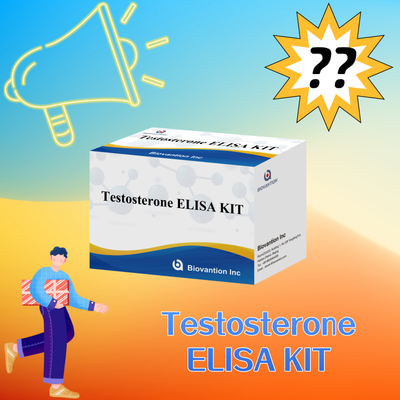 Kit Uji Testosteron Elisa Berkinerja Tinggi Untuk Kuantifikasi Biomarker yang Tepat