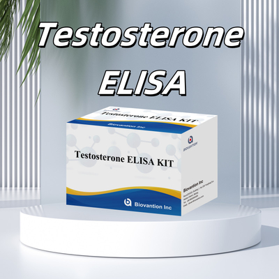 Kit Uji Testosteron Elisa Berkinerja Tinggi Untuk Kuantifikasi Biomarker yang Tepat