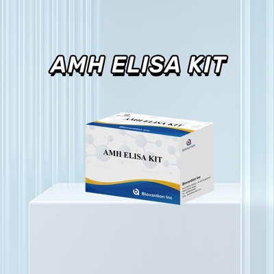 Tes IVD Anti-Mullerian Hormone AMH Elisa untuk deteksi pada manusia dengan tes 96