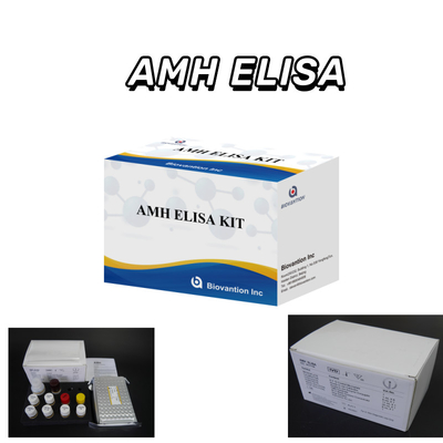 Tes IVD Anti-Mullerian Hormone AMH Elisa untuk deteksi pada manusia dengan tes 96