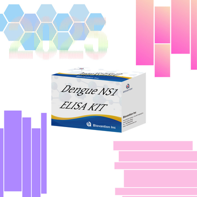 ELISA Dengue Ns1 Test Kit 96 Tes Waktu Bacaan Cepat Dalam 1 Jam