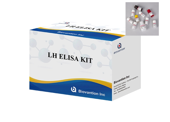 Perlengkapan medis secara akurat mendeteksi ovulasi LH Elisa Test Kit