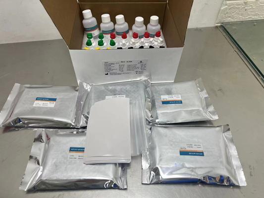 Kit Uji ELISA HCV Reagen Imunoasai Enzim untuk Deteksi Antibodi Virus Hepatitis C Manusia Penggunaan Diagnostik Laboratorium