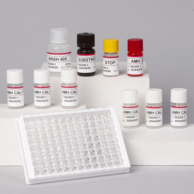 High Sensitivity AMH Elisa Test Kit for Serum Plasma with 2-8°C Storage