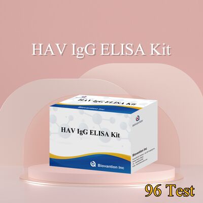 Kit ELISA IgG HAV Sensitivitas Tinggi (0.2 ng/mL) Bersertifikasi CE untuk Deteksi Akurat Virus Hepatitis A dalam 96 Uji