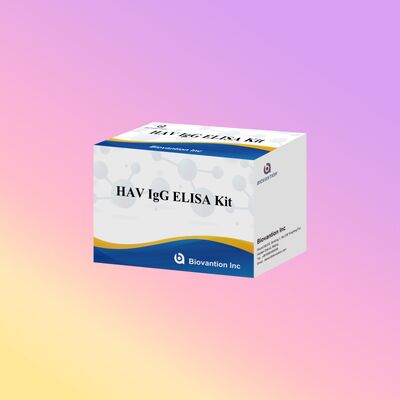 Kit ELISA IgG HAV Sensitivitas Tinggi (0.2 ng/mL) Bersertifikasi CE untuk Deteksi Akurat Virus Hepatitis A dalam 96 Uji