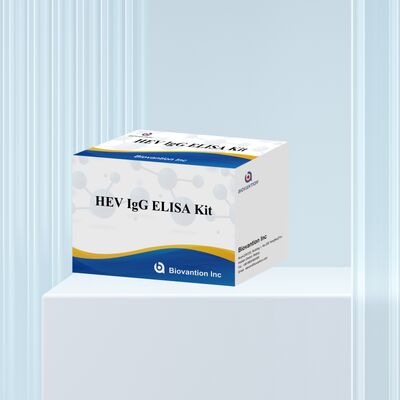 Kit Tes ELISA HEV-IgG Sensitivitas Tinggi dengan Ukuran 96T dan Masa Pelapisan 18 Bulan untuk Diagnosis Hepatitis E