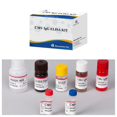 96T CMV ELISA Test Kit dengan Deteksi Colorimetric dan Metode Sandwich untuk Antibodi Sitomegalovirus