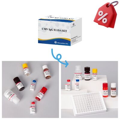 96T CMV ELISA Test Kit dengan Deteksi Colorimetric dan Metode Sandwich untuk Antibodi Sitomegalovirus