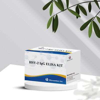 Sensitivitas Tinggi dan Spesifisitas Tinggi Deteksi Antibodi IgG HSV-2 Elisa Test Kit dengan Masa Pelayaran 18 Bulan