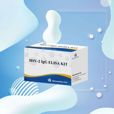 Sensitivitas Tinggi dan Spesifisitas Tinggi Deteksi Antibodi IgG HSV-2 Elisa Test Kit dengan Masa Pelayaran 18 Bulan