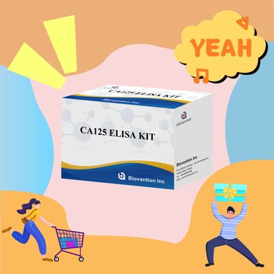 High Sensitivity CA125 ELISA Test Kit dengan 96 tes dan waktu tes 1 jam untuk diagnosis kanker yang akurat