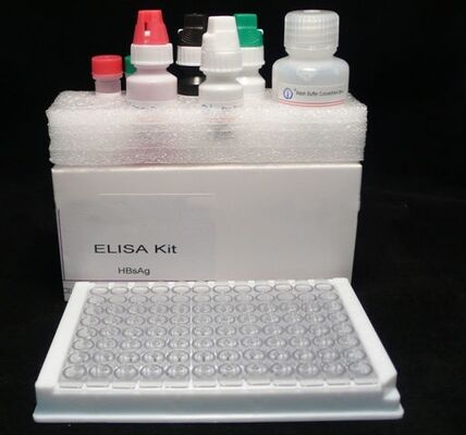 Kit Tes ELISA Sensitivitas Tinggi dan Spesifisitas Tinggi HBsAg untuk Hepatitis B dengan Waktu Pengukuran 2-3 Jam