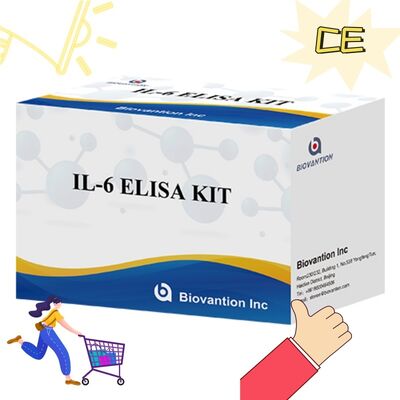 IL-6 Interleukin-6 Human ELISA Kit dengan Keakuratan 99% 24 Bulan Shelf Life dan 96 Tes/Kit
