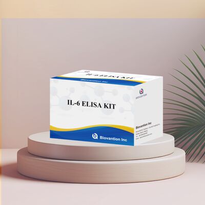 IL-6 Interleukin-6 Human ELISA Kit dengan Keakuratan 99% 24 Bulan Shelf Life dan 96 Tes/Kit