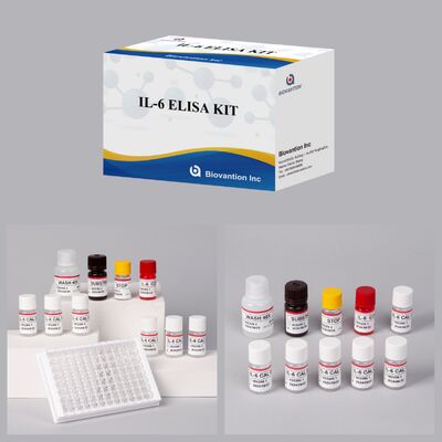 IL-6 Interleukin-6 Human ELISA Kit dengan Keakuratan 99% 24 Bulan Shelf Life dan 96 Tes/Kit