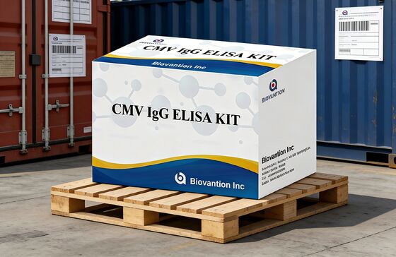 Laboratorium atau Rumah Sakit High Accuracy CMV IgG Elisa Test Kit