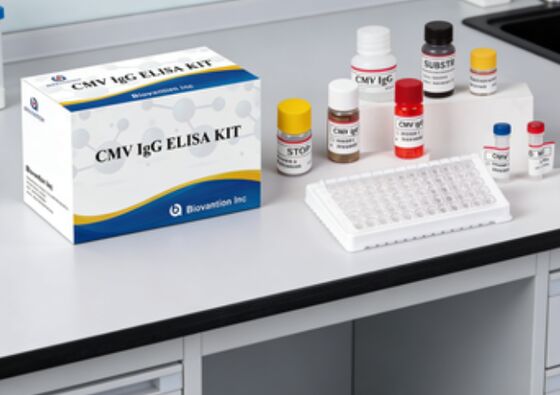 Laboratorium atau Rumah Sakit High Accuracy CMV IgG Elisa Test Kit