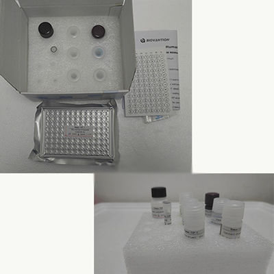 Human TNF-α RUO Elisa Test Kit