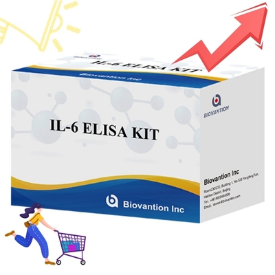 Kit ELISA Sensitivitas Tinggi Untuk Deteksi IL6 Reagen Penelitian yang Dapat Diandalkan Untuk Analisis Sitokin yang Tepat