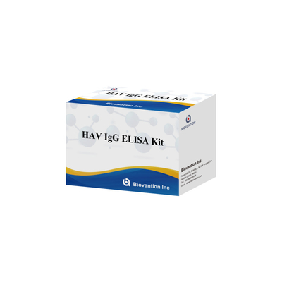 Sensitivitas Tinggi HAV IgG ELISA Kit Deteksi Virus Hepatitis A yang Akurat Dipercaya Sertifikasi CE Untuk Penggunaan Klinis Dan Penelitian