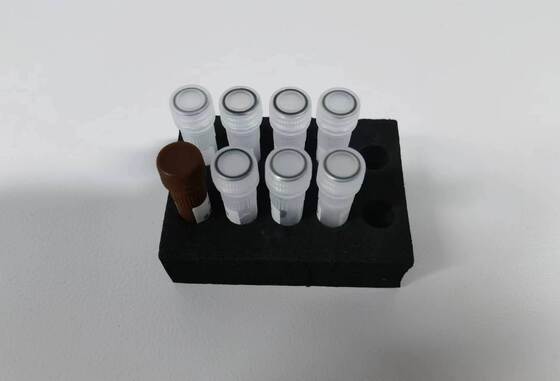 Tes PCR dengue mendeteksi kualitas tinggi dengan 48 tes