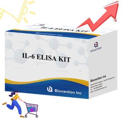 IL-6 Interleukin-6 Human ELISA Kit dengan Keakuratan 99% 24 Bulan Shelf Life dan 96 Tes/Kit