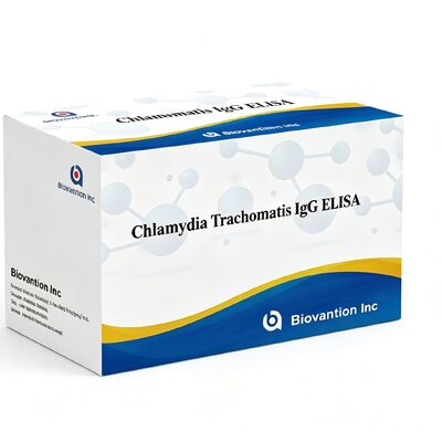 Antibodi terhadap Chlamydia Trachomatis (Ct) IgG ELISA Test Kit Serum/Plasma