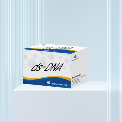 Biovantion ds-DNA Sensitivity ELISA Test Kit Reagen IVD untuk penggunaan manusia